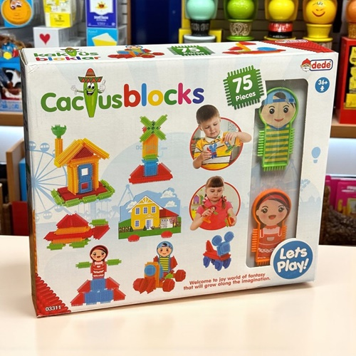 Kaktüs 75 Parça Eğitici Blok Seti