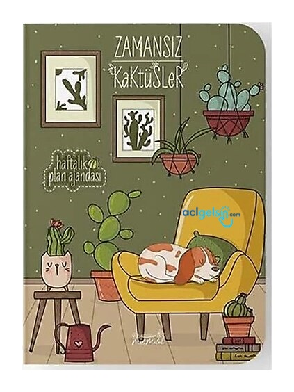 Melimelek Zamansız Kaktüsler Opuntia