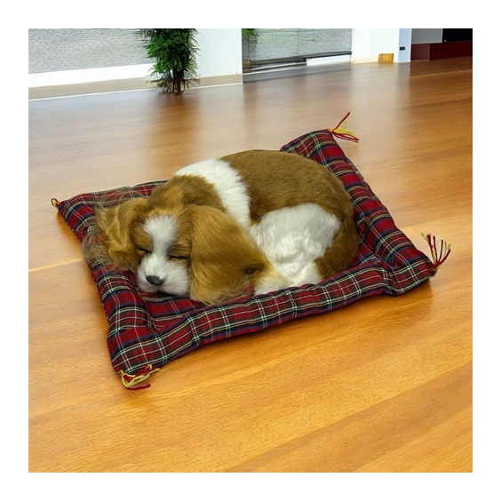 Minderde Uyuyan Tatlı Patiler Köpek