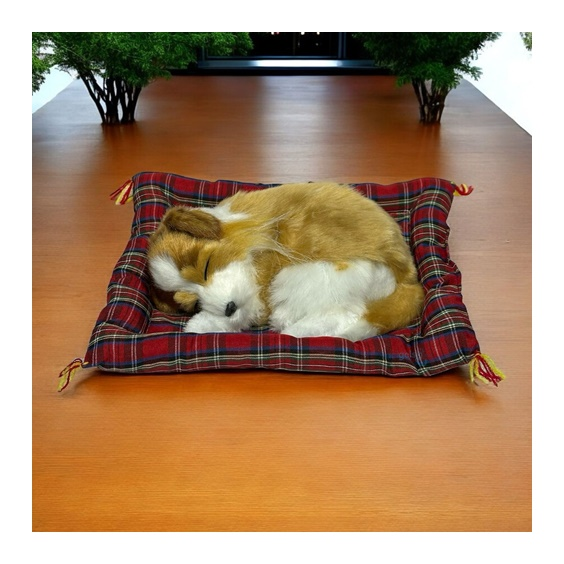 Minderde Uyuyan Tatlı Patiler Köpek