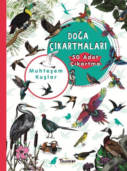Muhteşem Kuşlar - Doğa Çıkartmaları