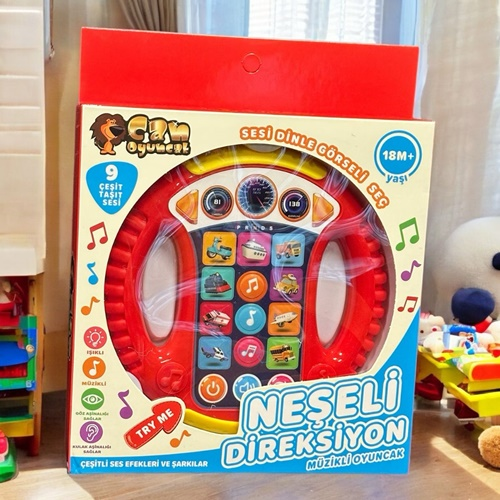 Neşeli Direksiyon Türkçe