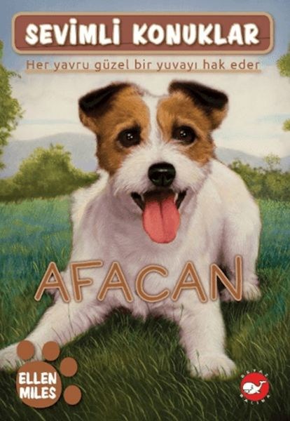 Sevimli Konuklar 4 -Afacan