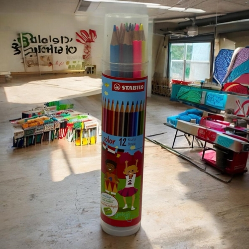 Stabilo Color Kuru Boya 12'li Plastik Tüp