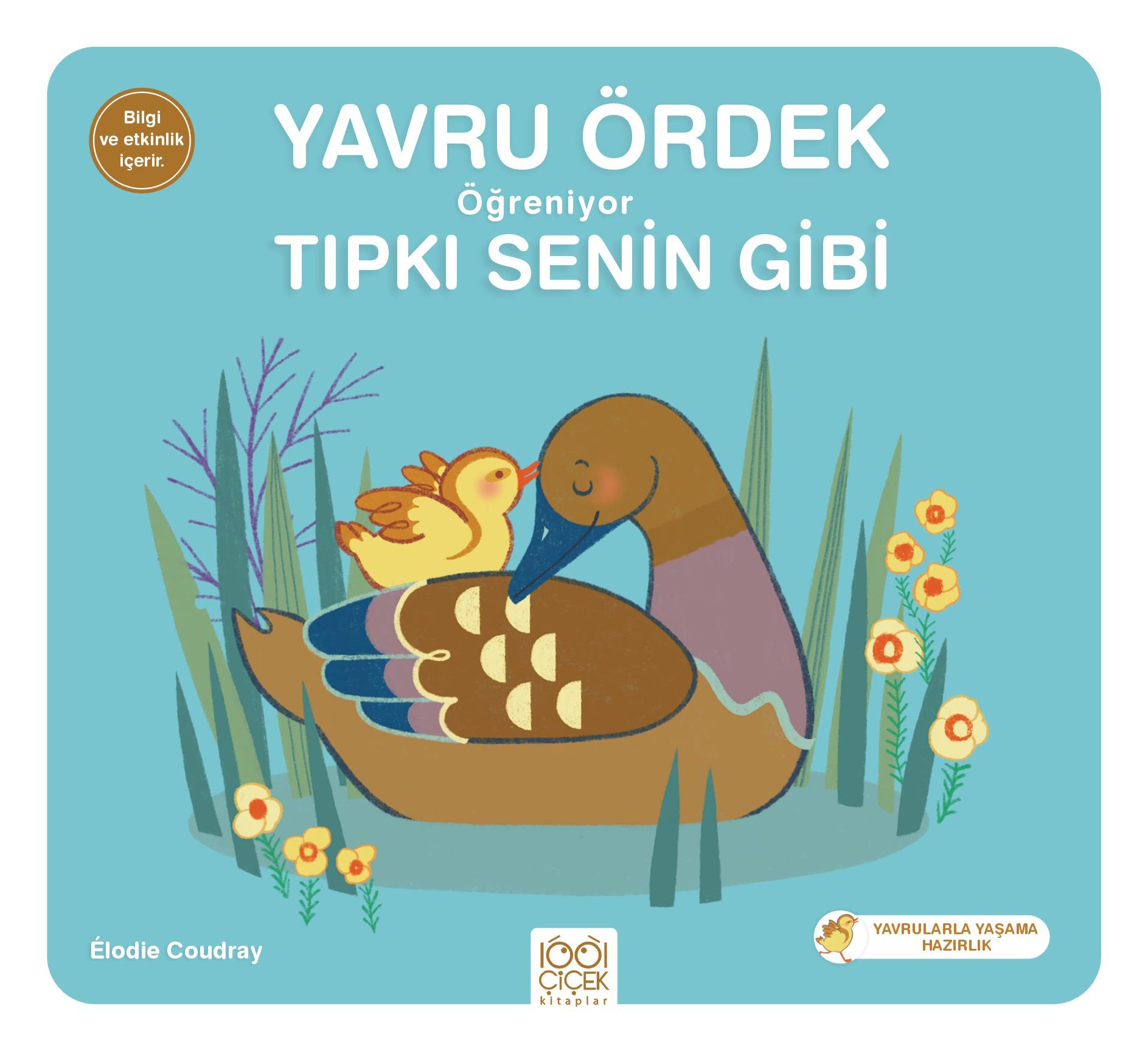 Yavru Ördek Öğreniyor Tıpkı Senin Gibi