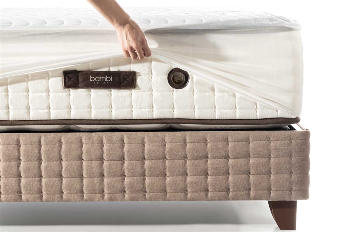 Fitted AlezBambi AlezFitted Alez