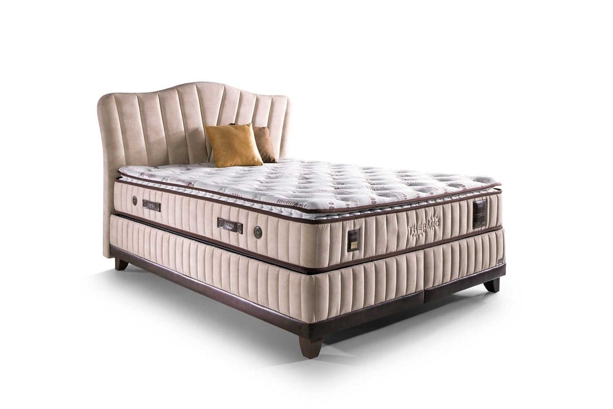 Thermic Prime BaşlıkBambi BaşlıkThermic Prime Başlık