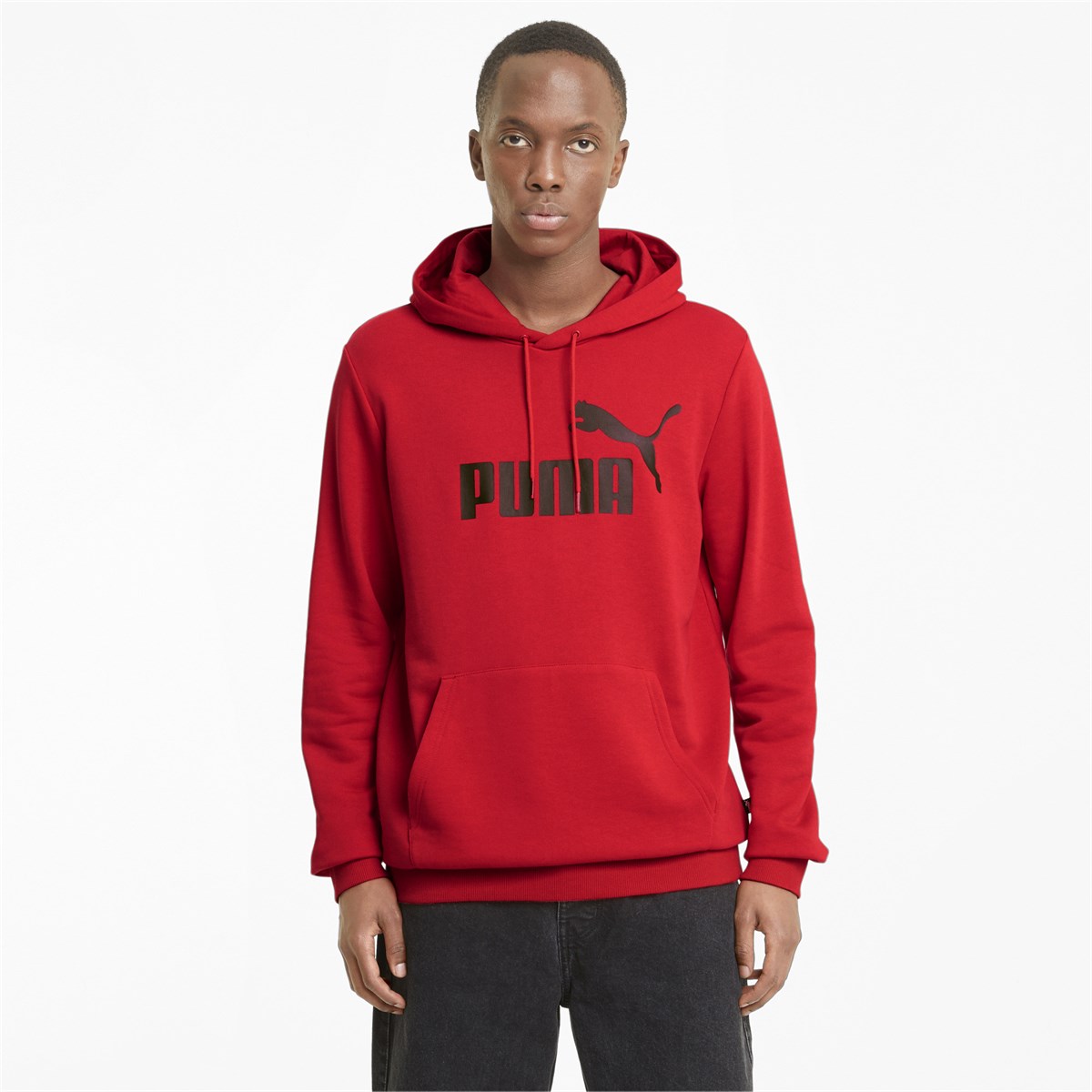 Puma Ess Big Logo Hoodie Erkek Sweatshirt