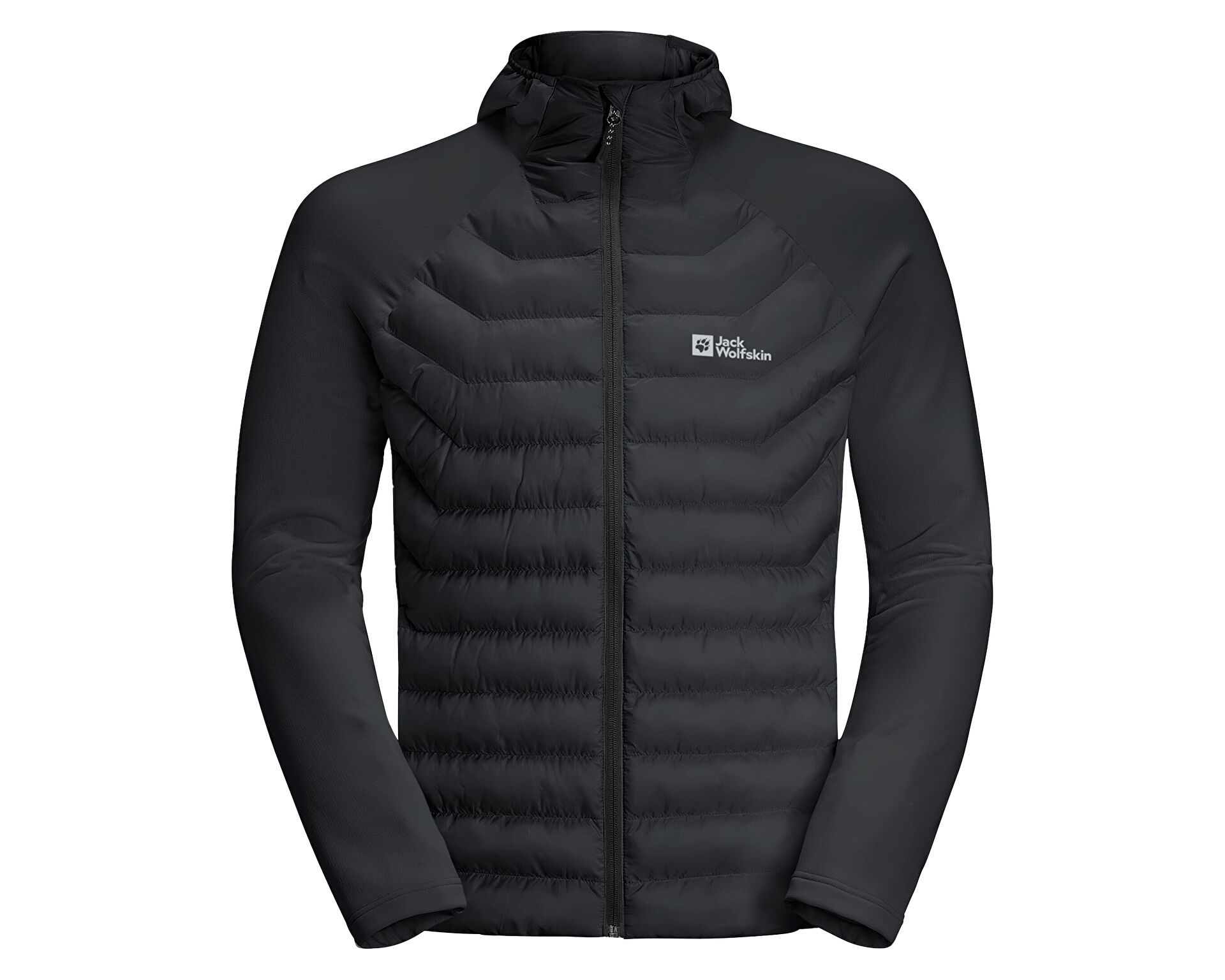 Jack Wolfskin Routeburn Pro Hybrid M Erkek Ceket