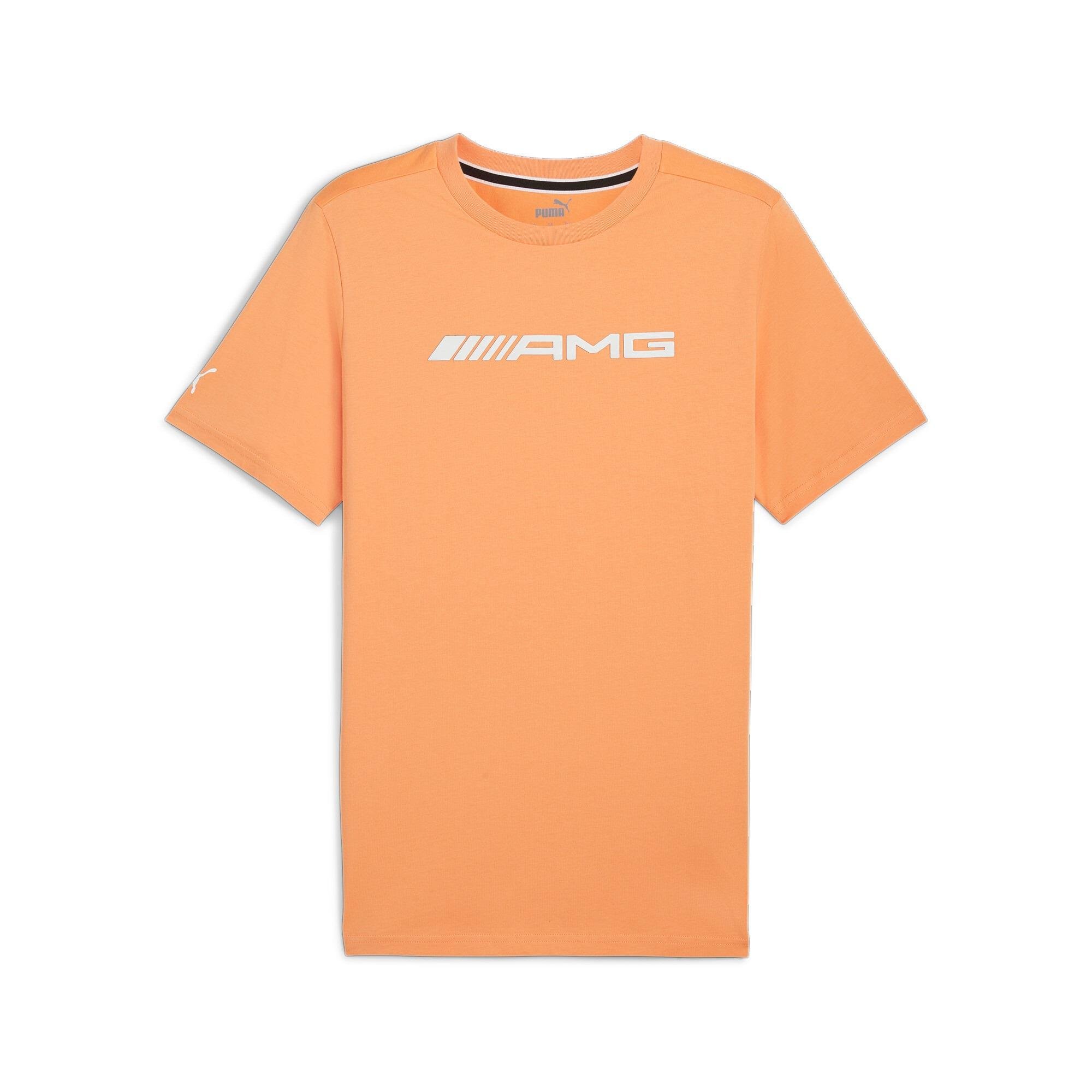Puma Amg Logo Tee Erkek T-shirt