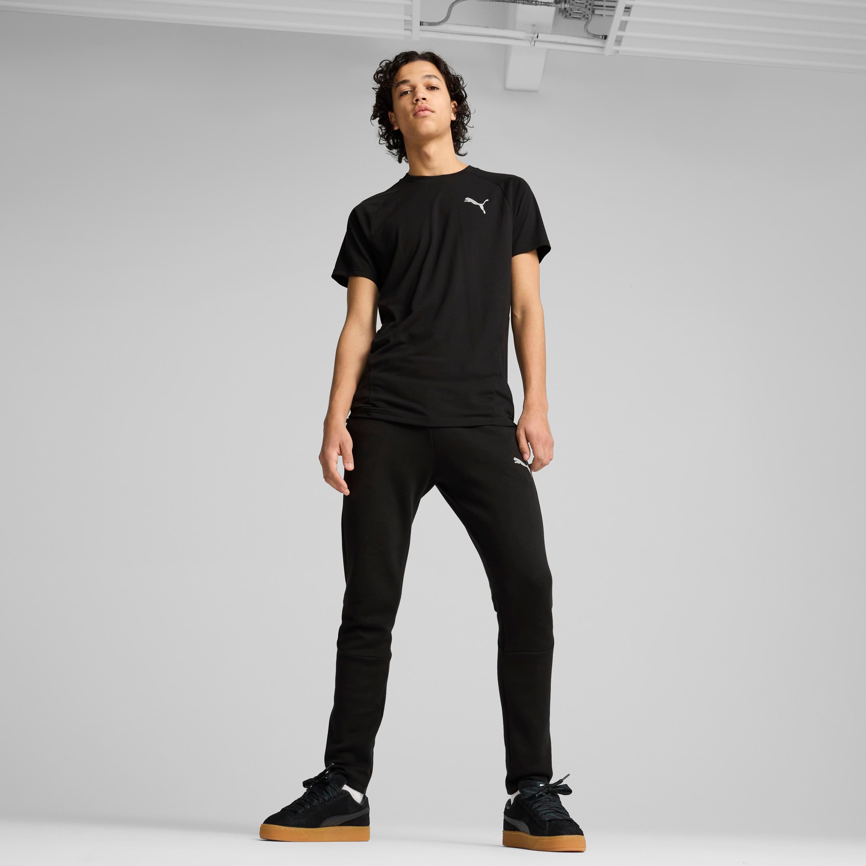 Puma Evostripe Tee Erkek T-shirt