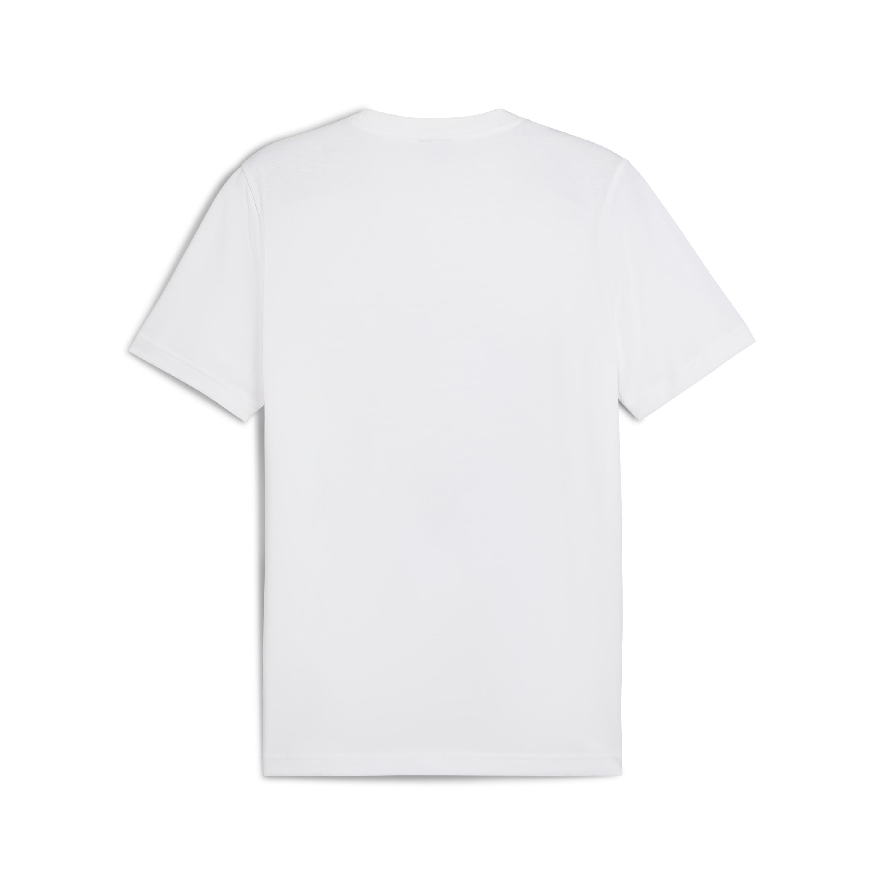 Puma Graphıcs Puma Bonsai Tee Erkek Tişört