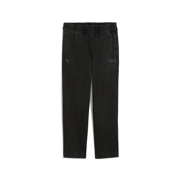 Puma Pl Lifestyle Pants Erkek Yetişkin Eşofman Altı