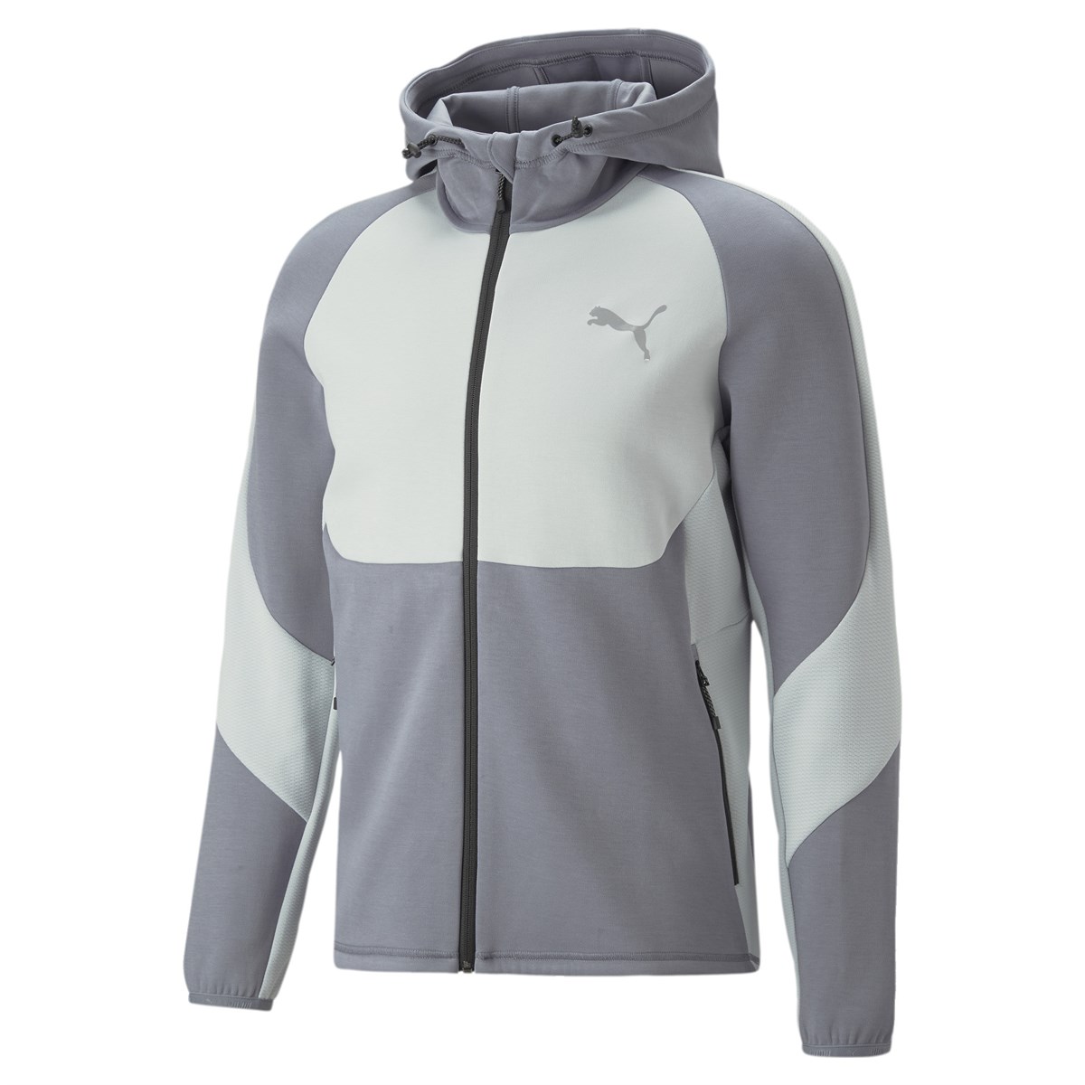 Evostripe Full-Zip Hoodie Dk