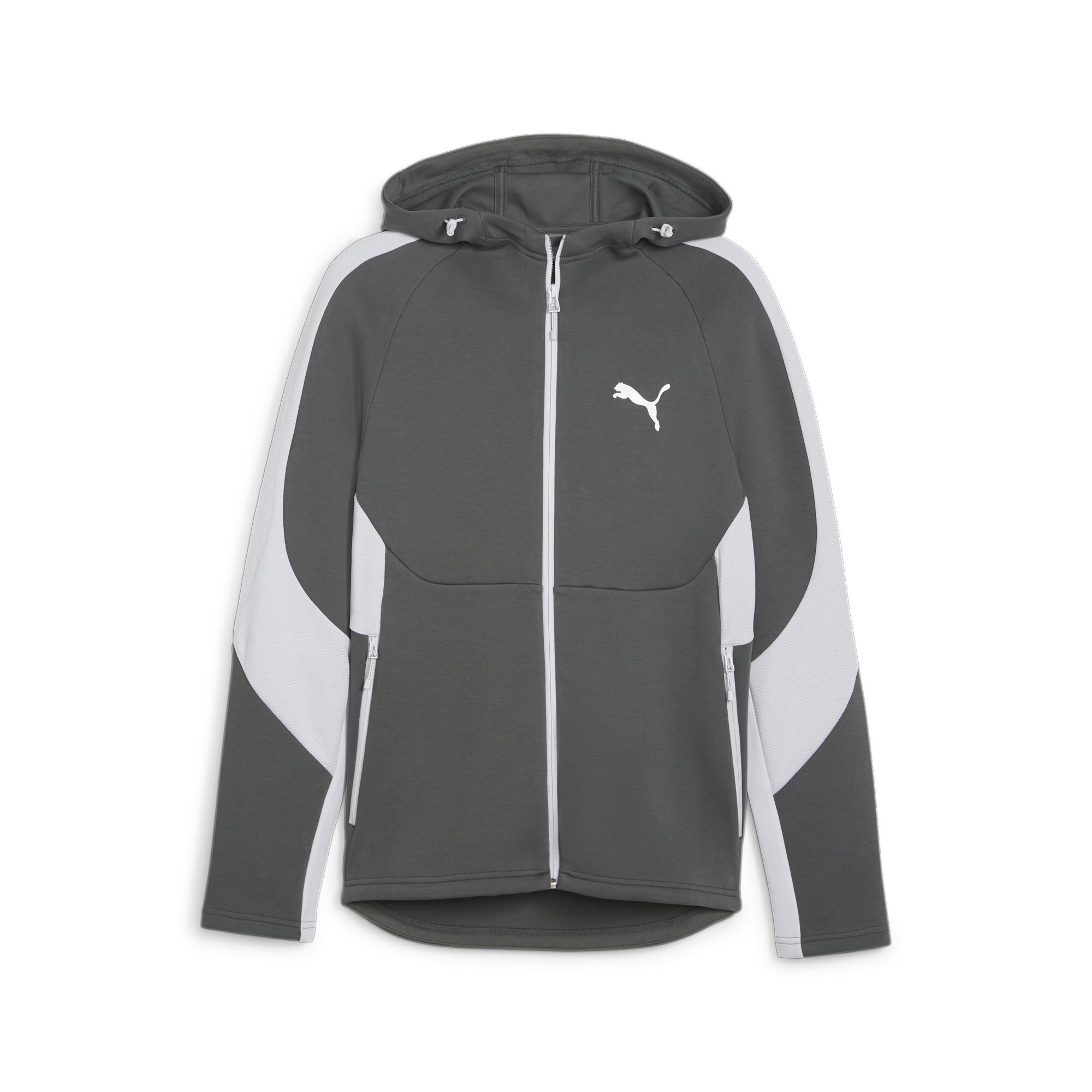 Evostripe Full-Zip Hoodie Erkek Sweatshirt