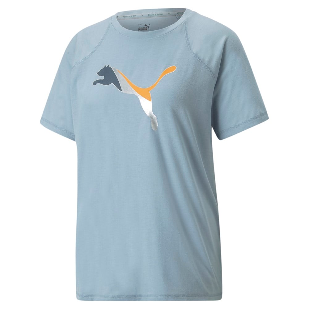 Evostripe Tee