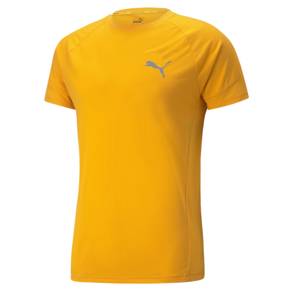 Evostripe Tee