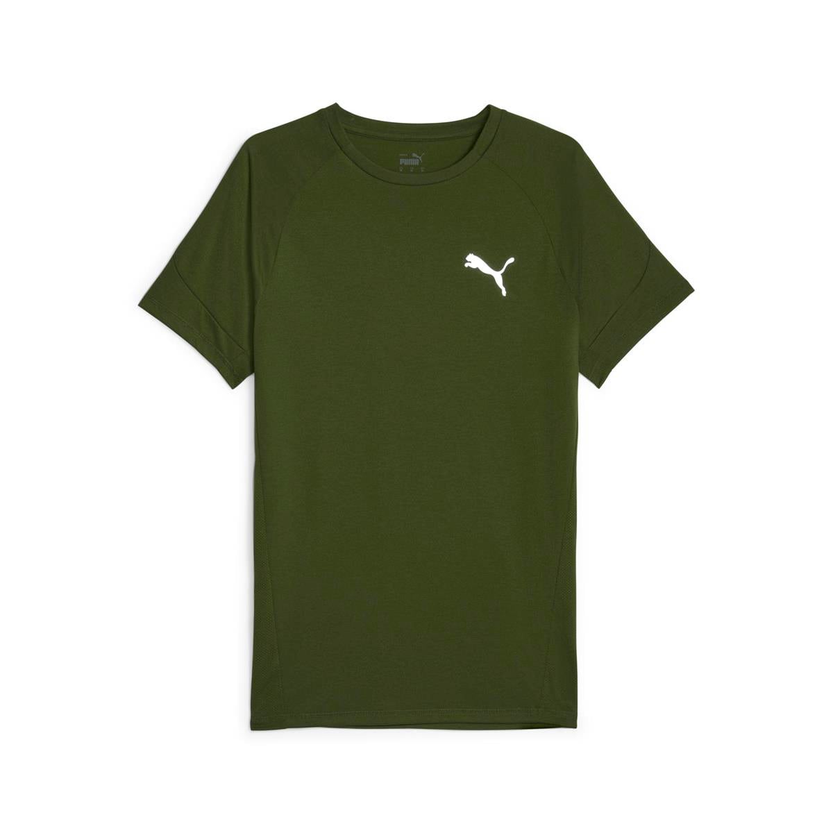 Evostripe Tee Erkek T-shirt