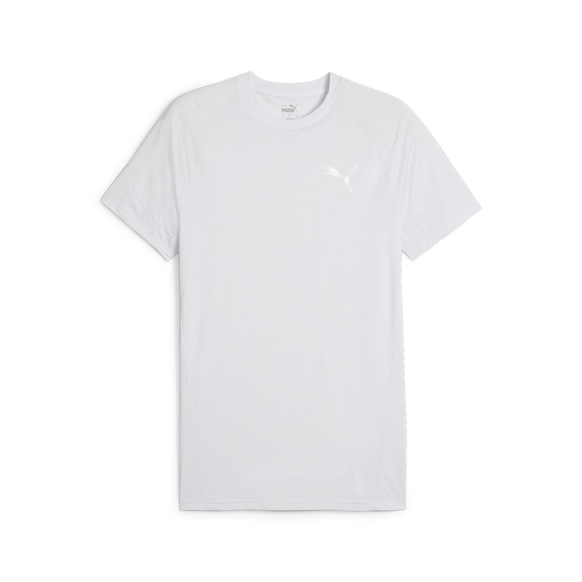 Evostripe Tee Erkek T-shirt