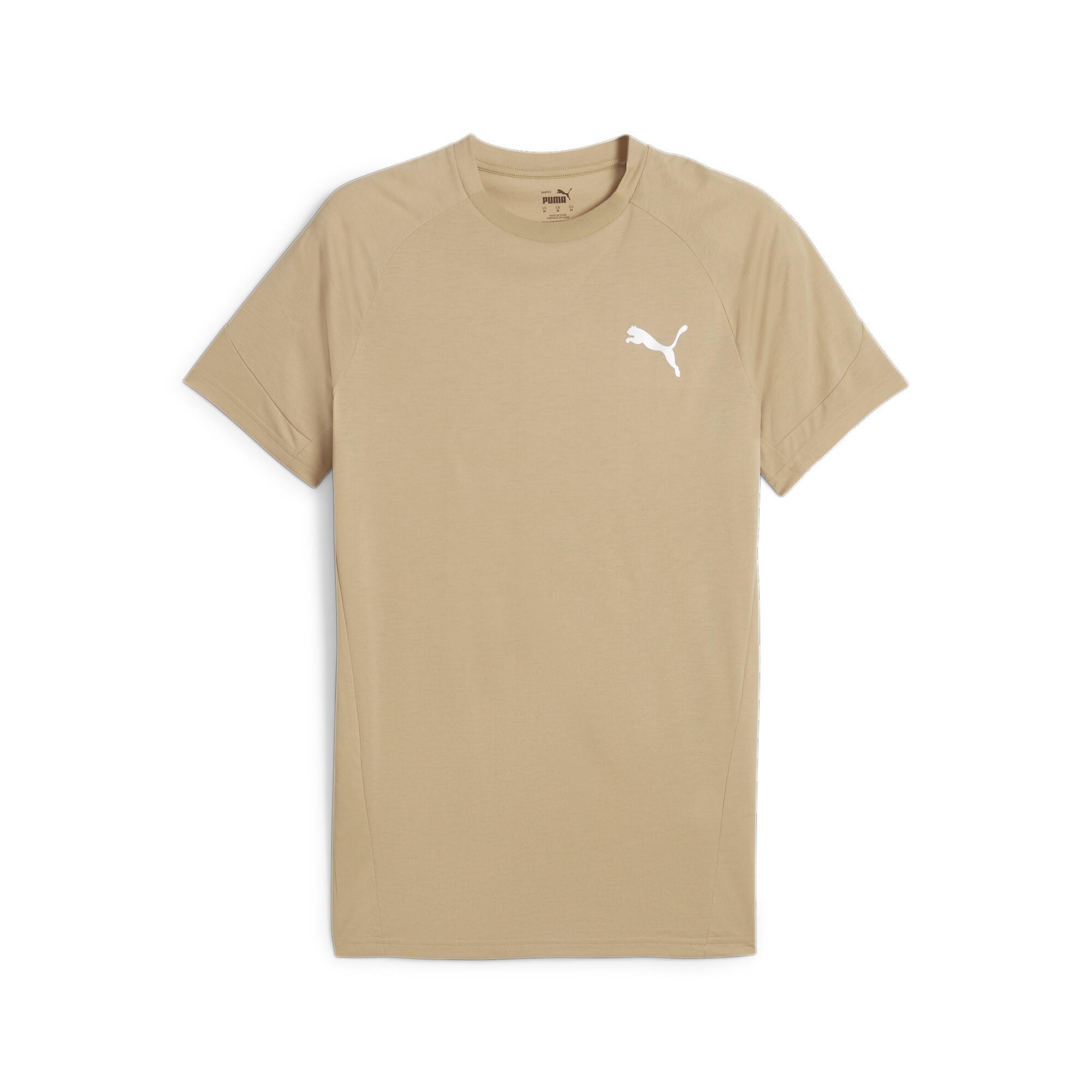 Evostripe Tee Erkek T-shirt