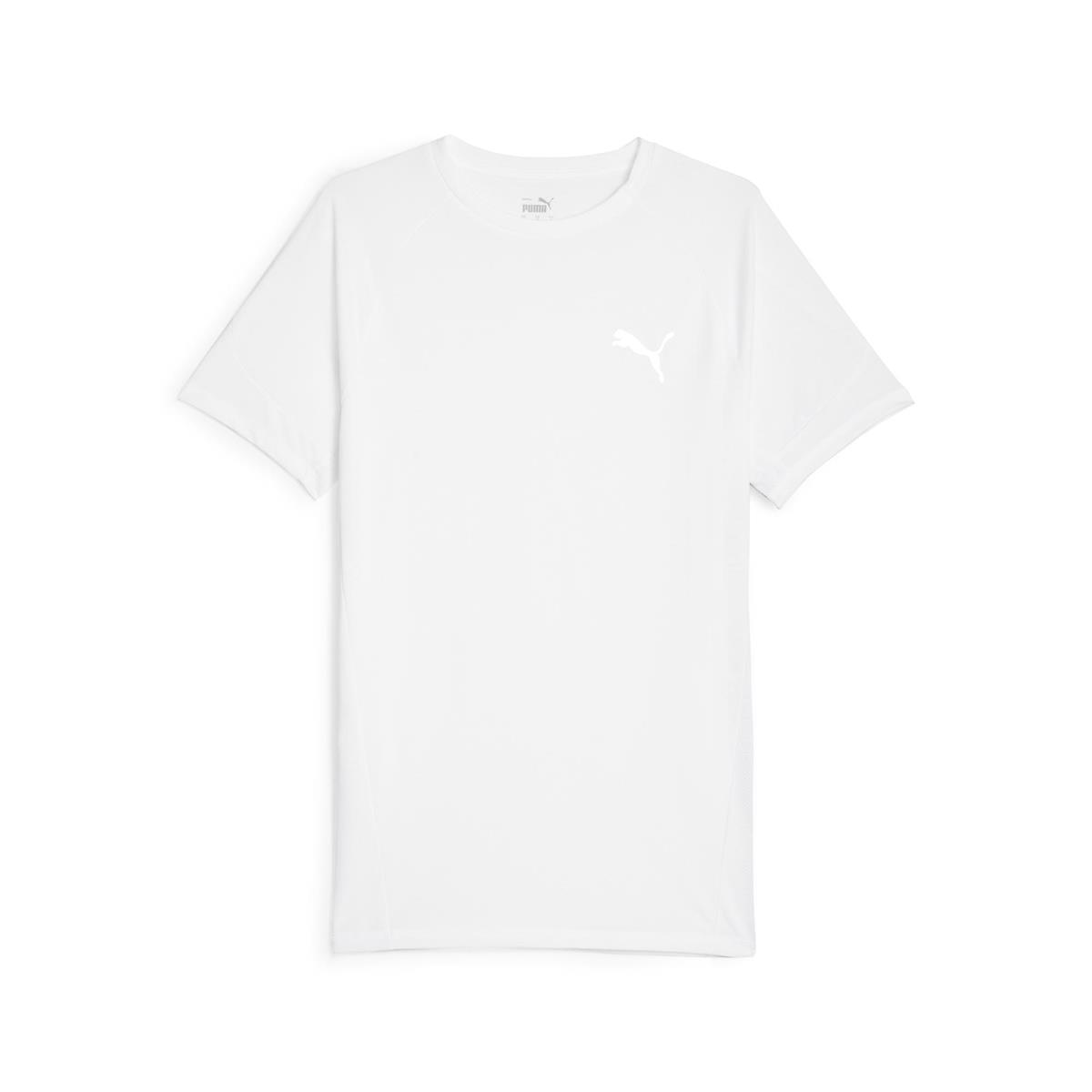 Evostripe Tee Erkek T-shirt
