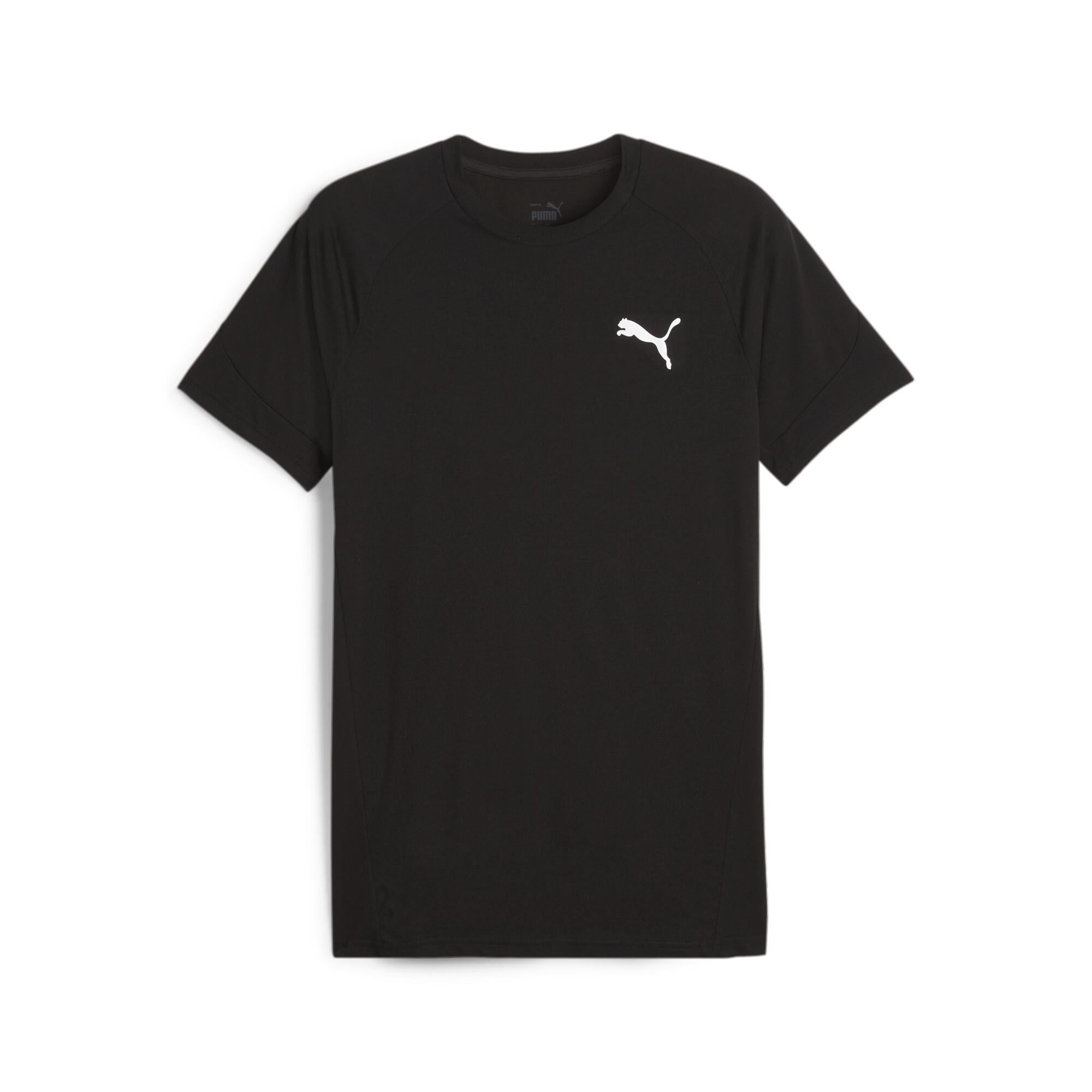 Evostripe Tee Erkek T-shirt
