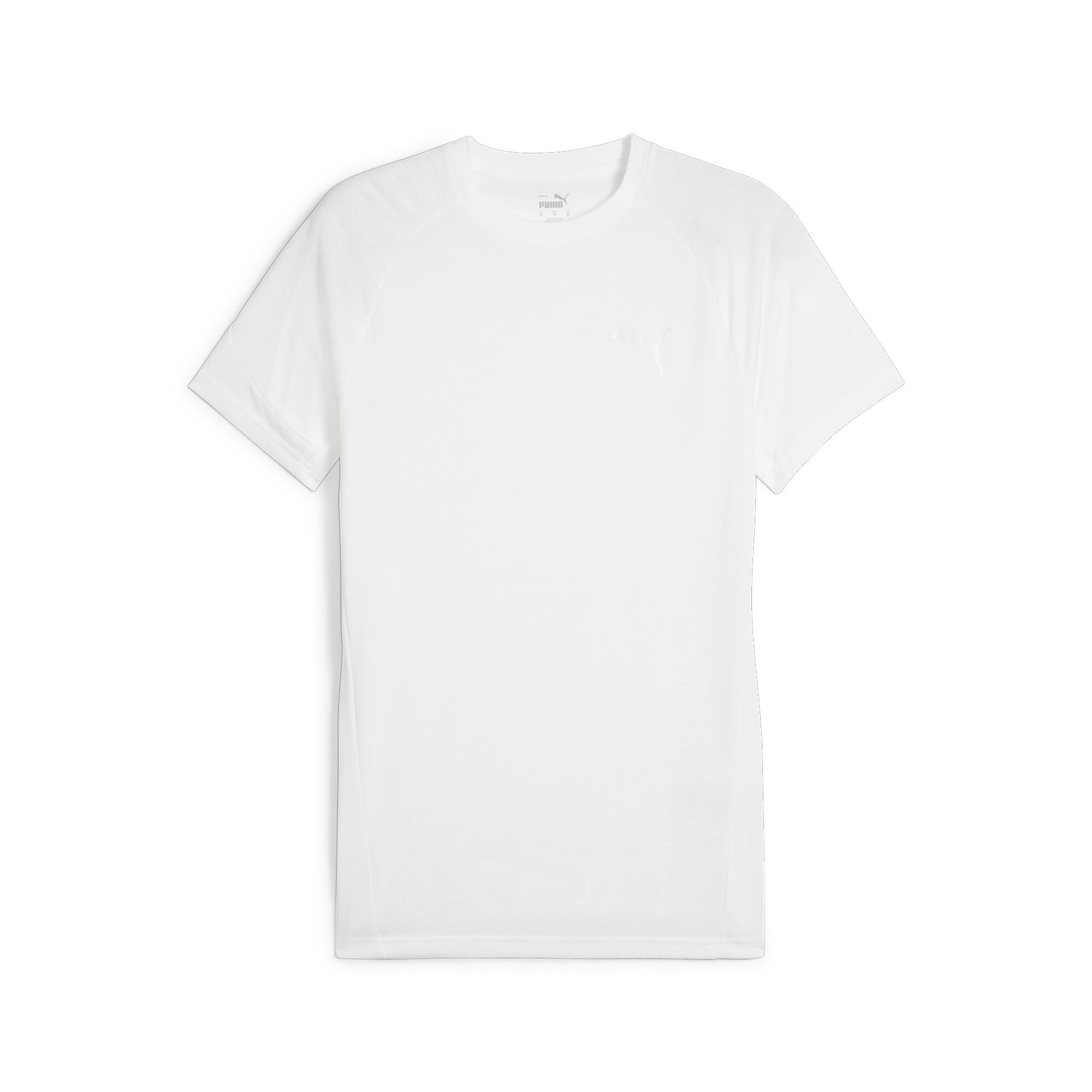 Evostripe Tee Erkek T-shirt