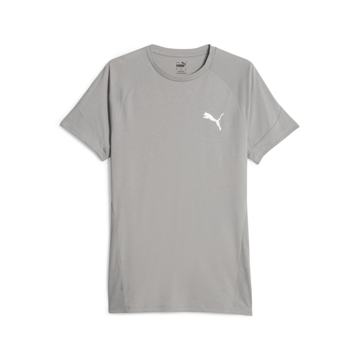 Evostripe Tee Erkek T-shirt