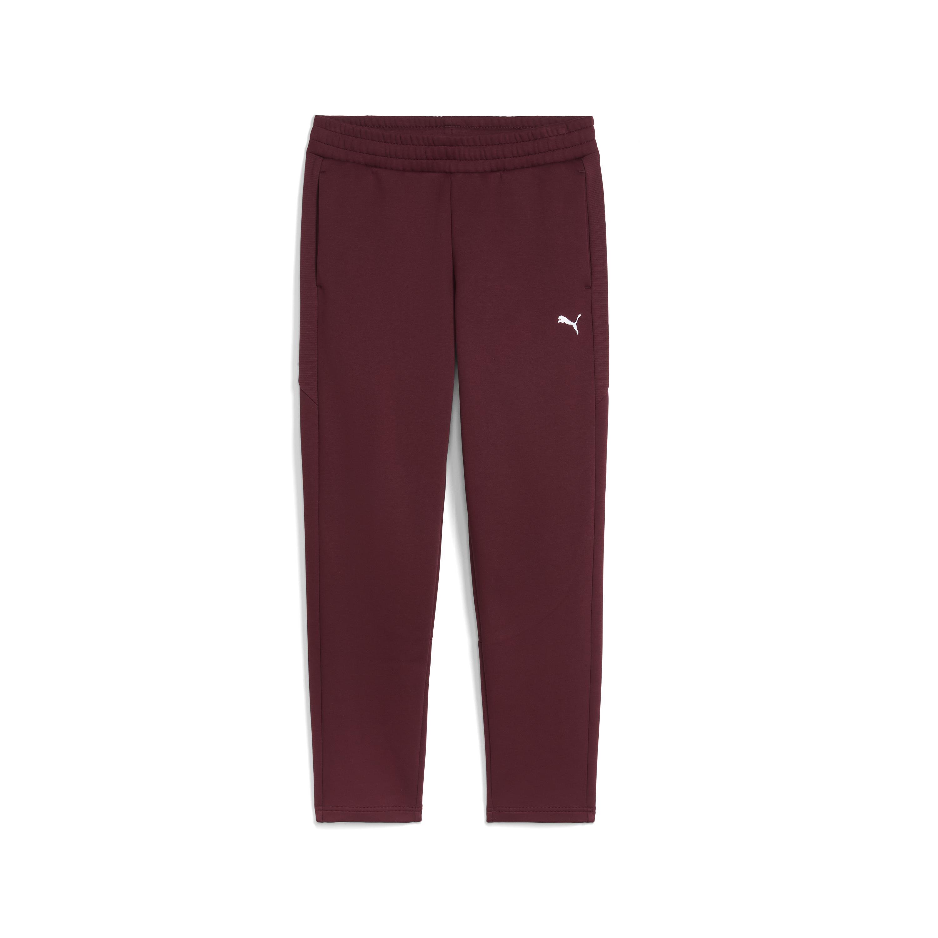 Puma Evostrıpe Sweatpants Kadın Yetişkin Eşofman Altı