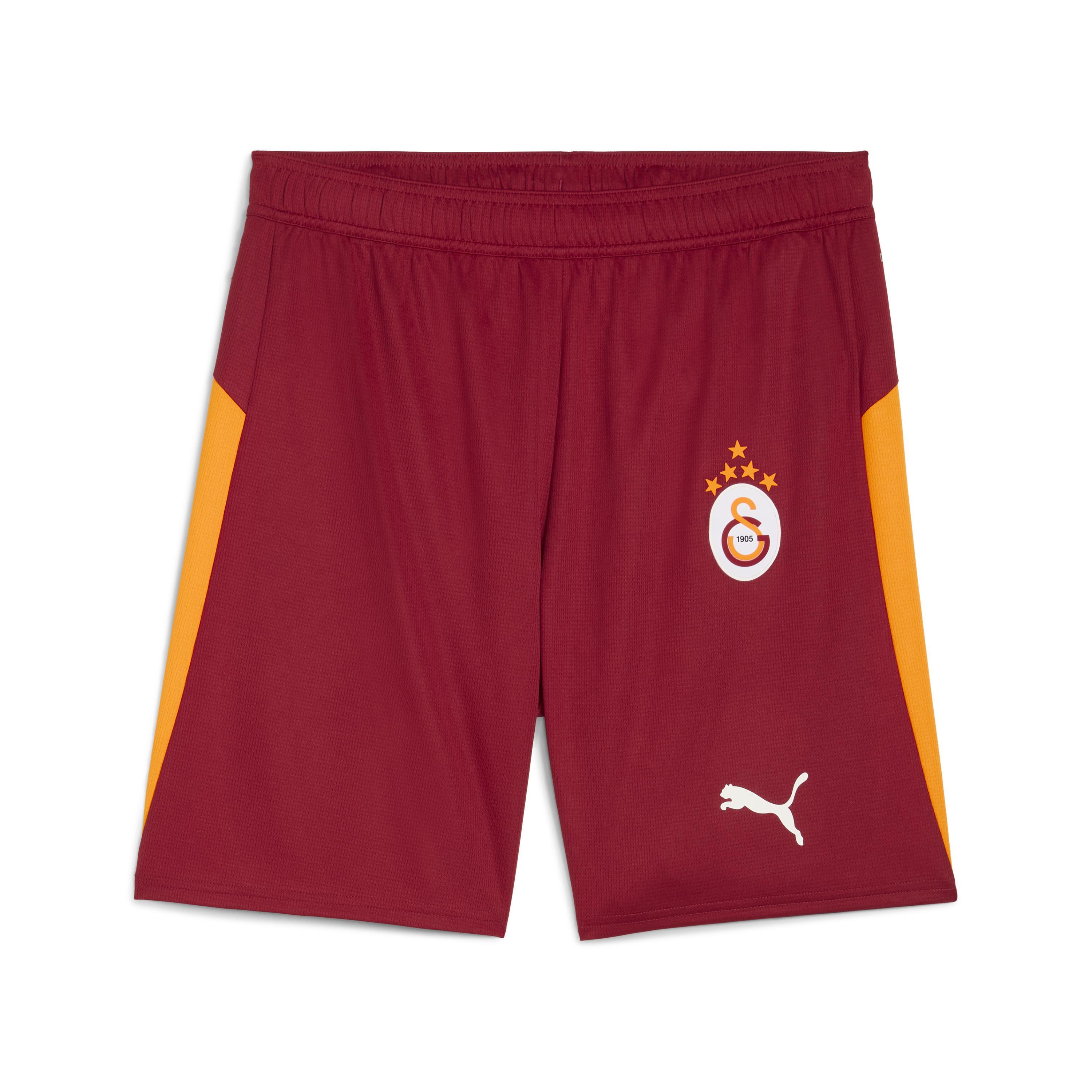 Puma Gsk Shorts Replica W/B W/Osp Erkek Yetişkin Şort