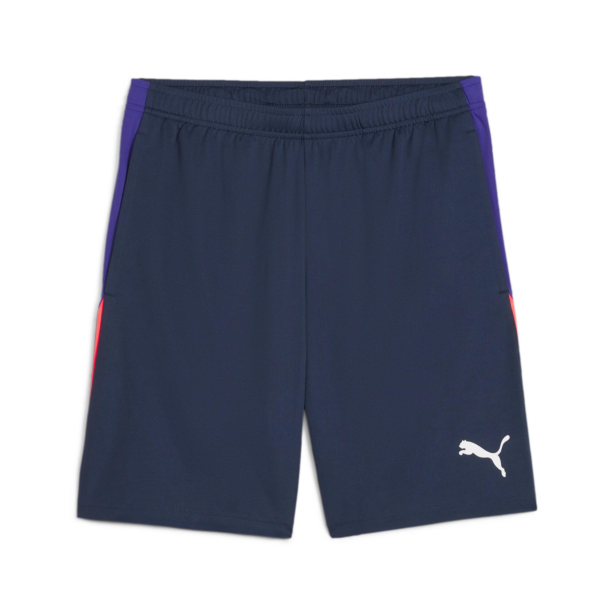 Puma individualligatrainingshorts Erkek Şort