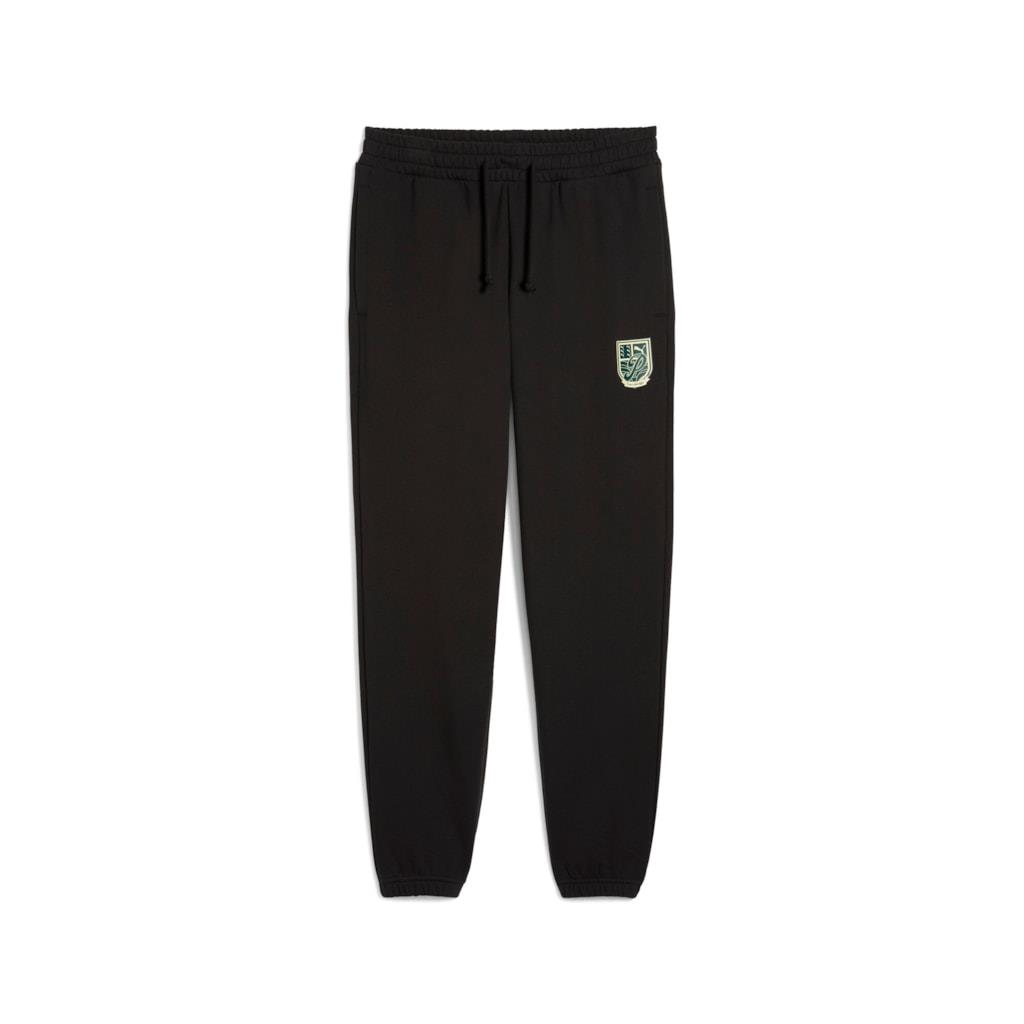 Puma Wardrobe Ess Graphic Pants Erkek Eşofman Altı