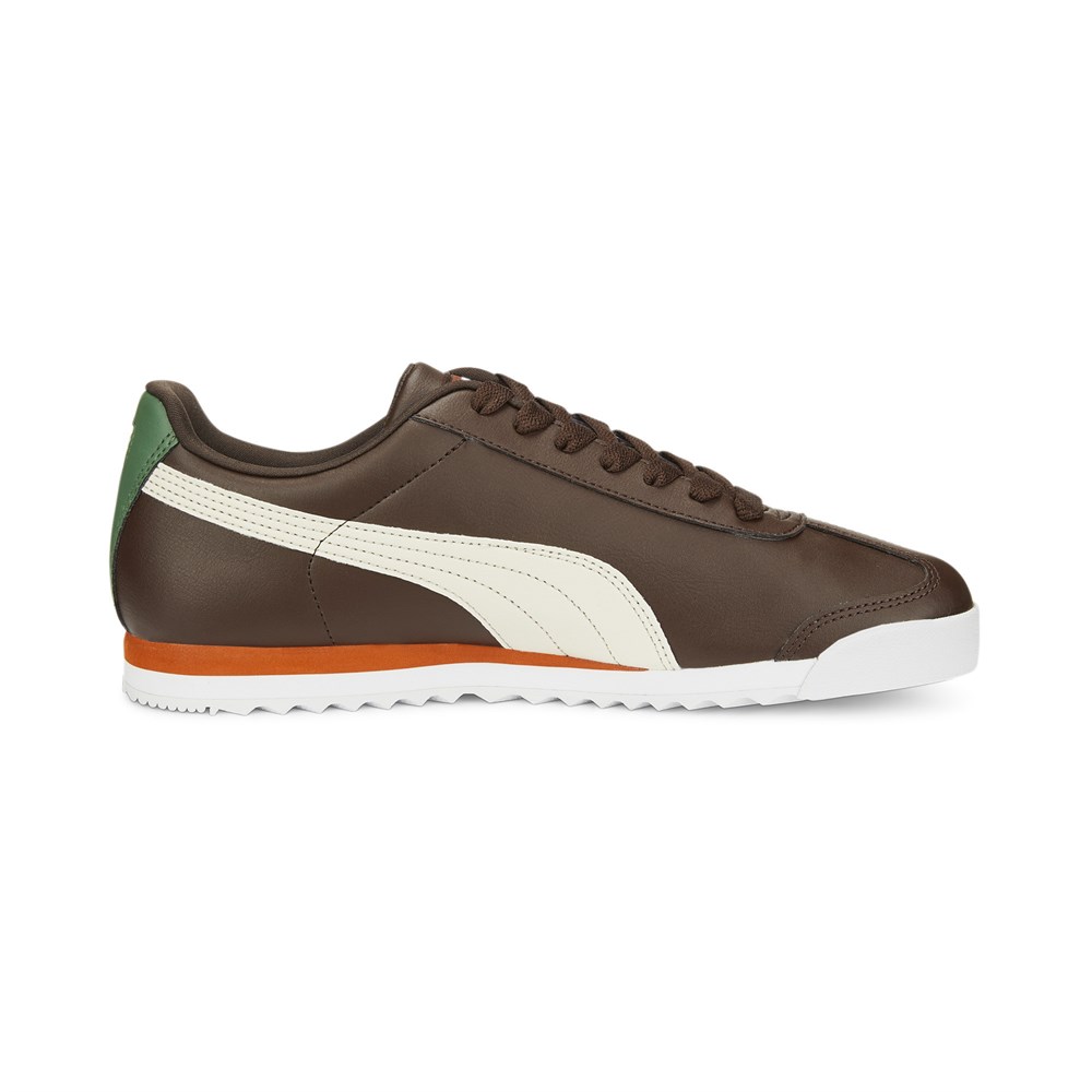 Roma Basic +