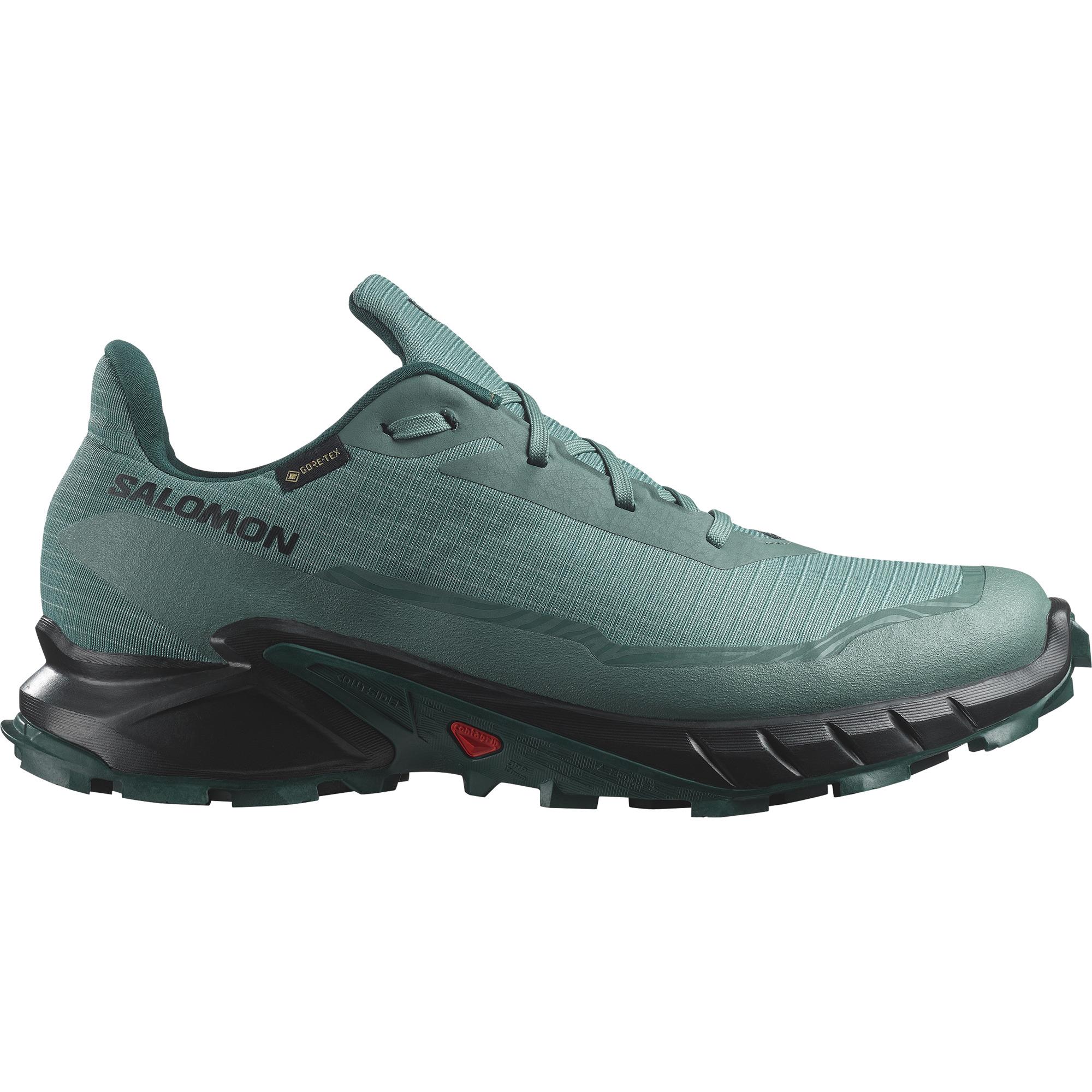 Salomon Alphacross 5 Gtx Erkek Koşu Ayakkabı