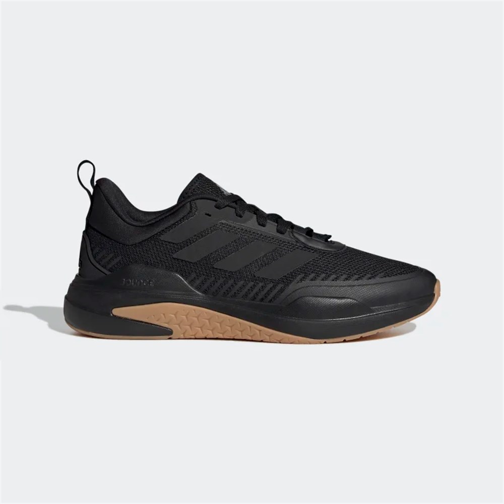 Trainer V