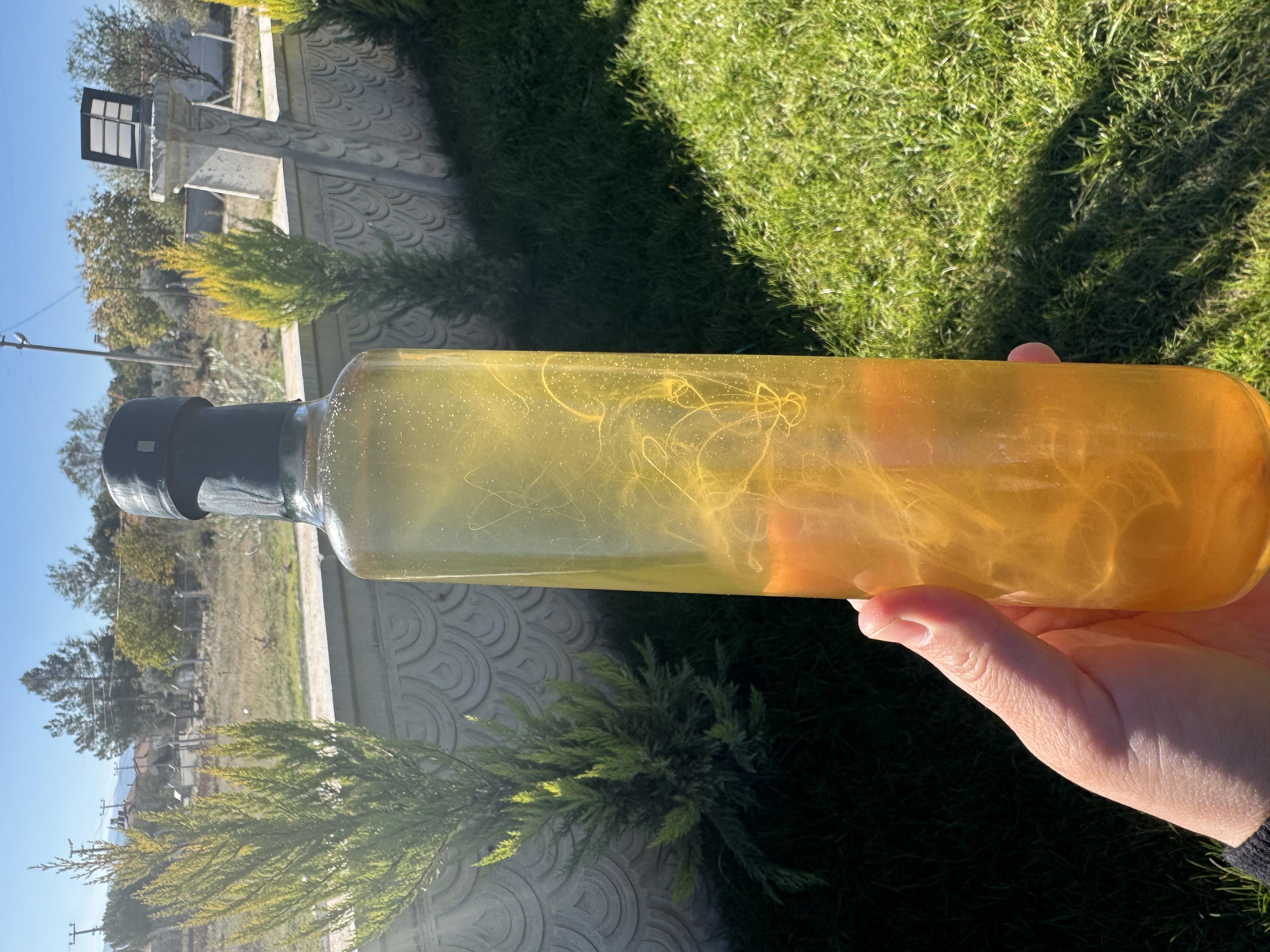 Detoks Sirkesi 500 ML