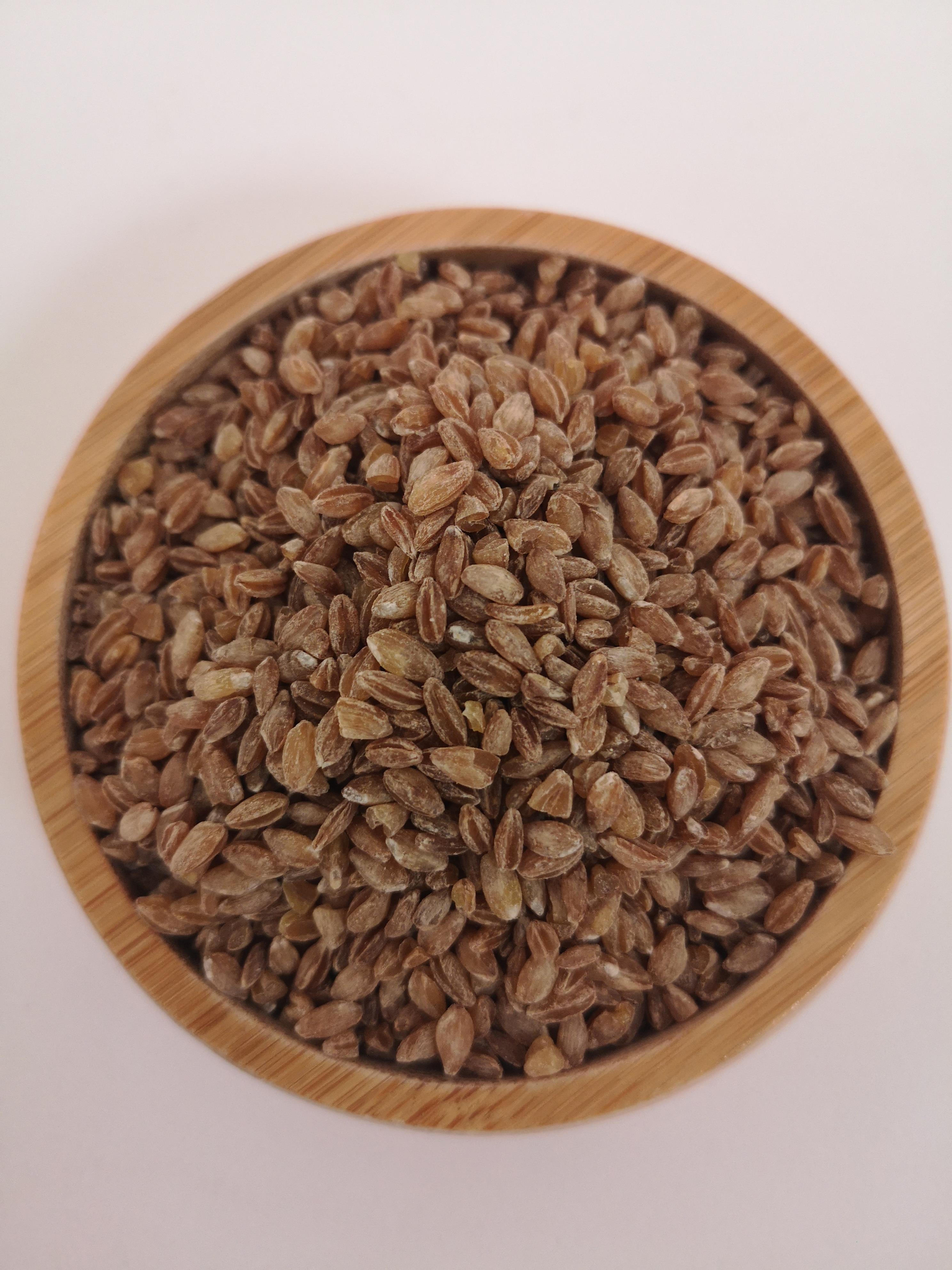Siyez Bulgur KG