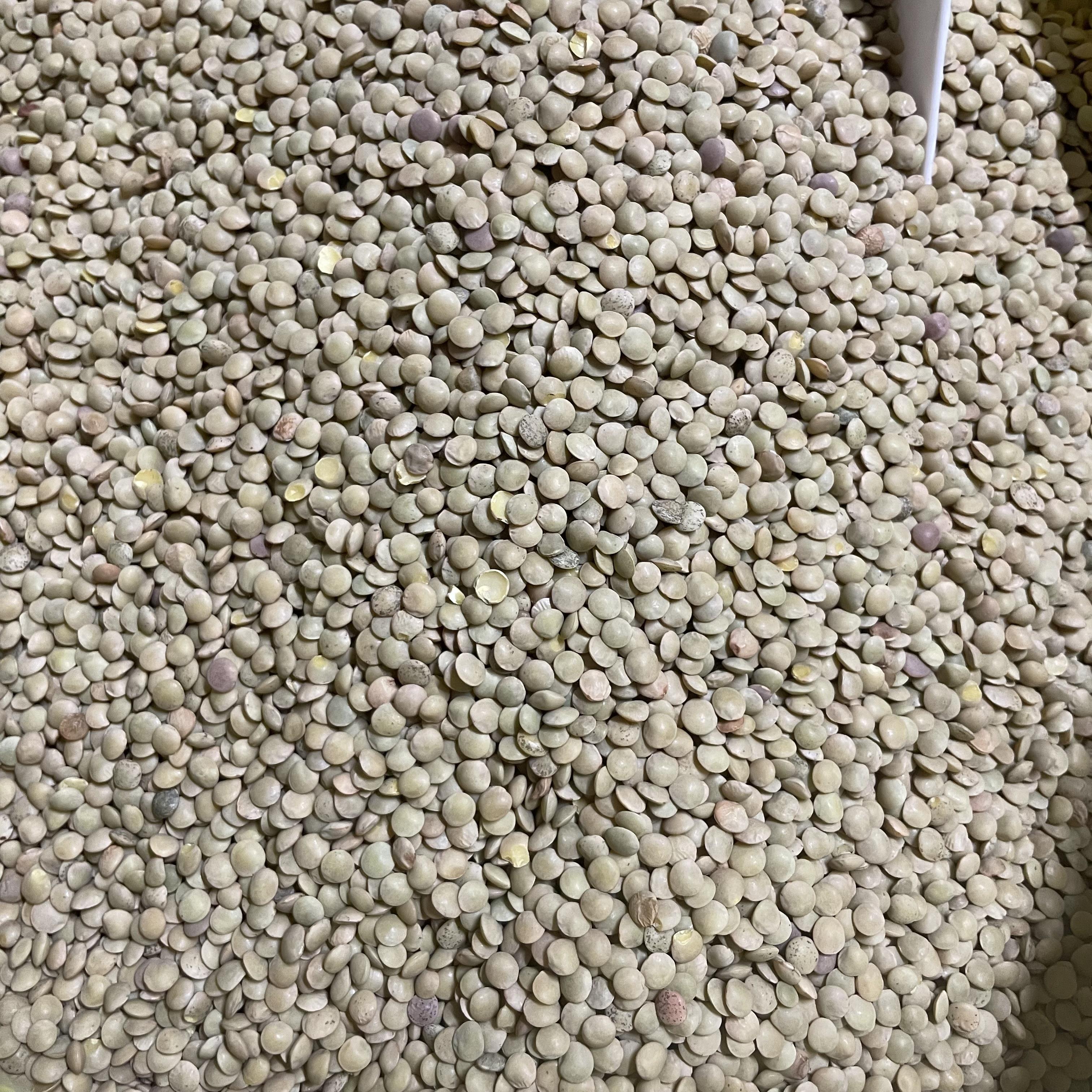 Yeşil Mercimek Kg