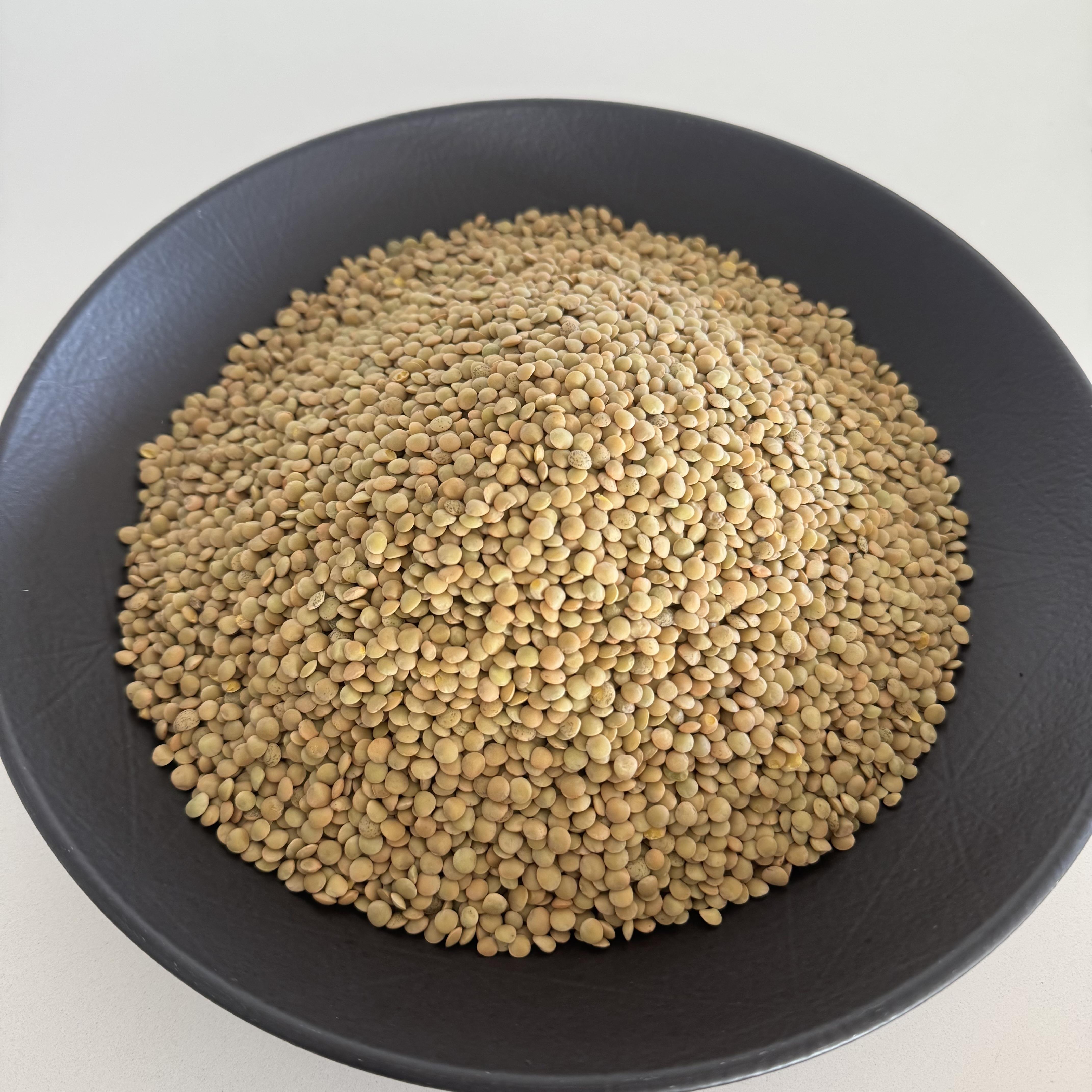 Yeşil Mercimek (Mini Taneli)