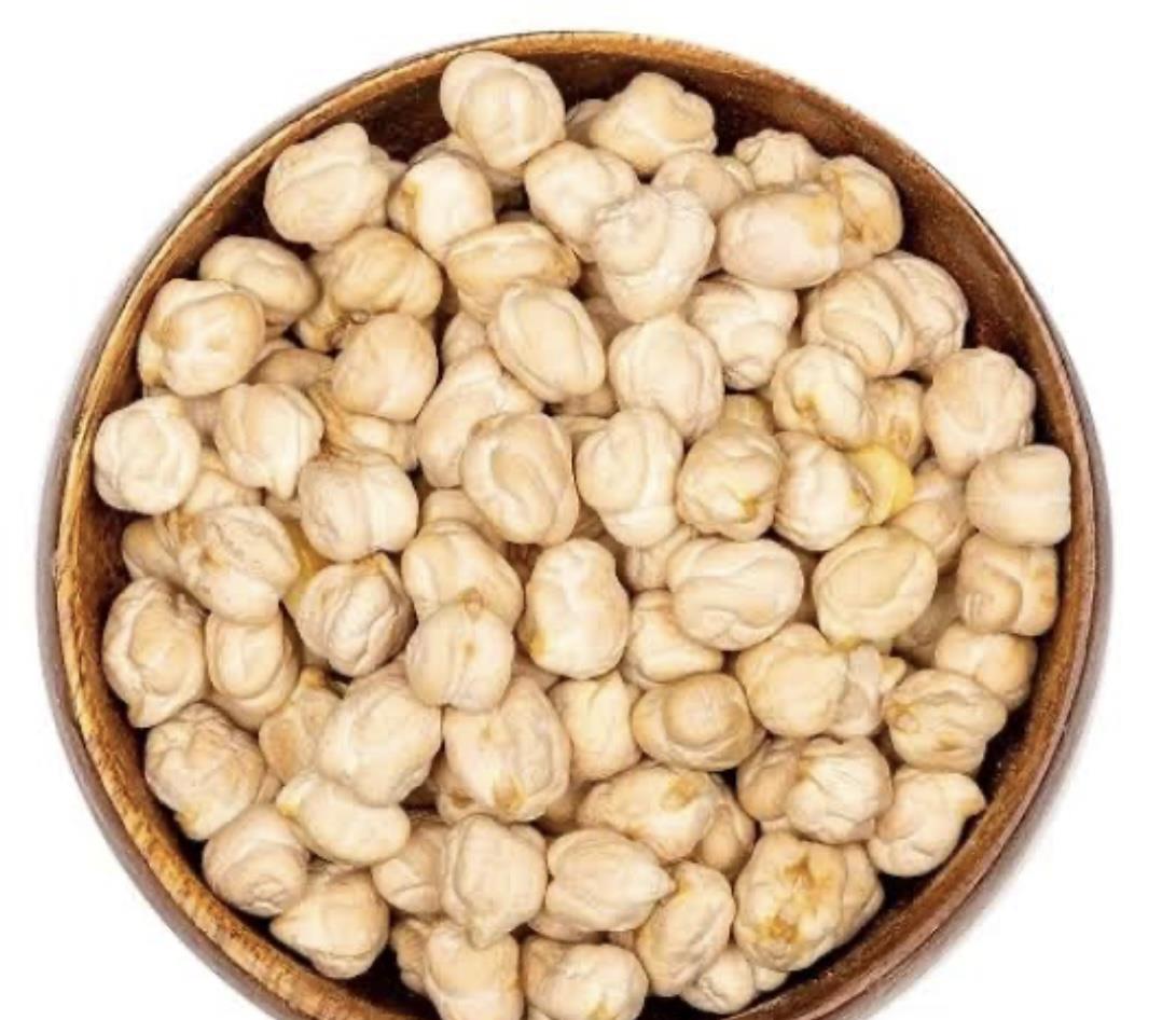 Nohut (Koçbaşı)