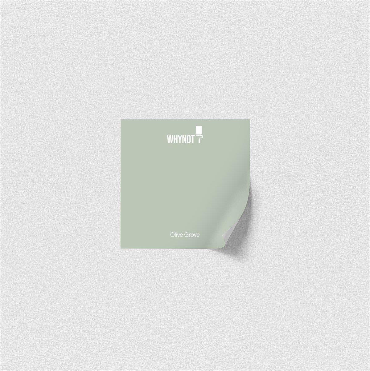 Olive Grove Sample