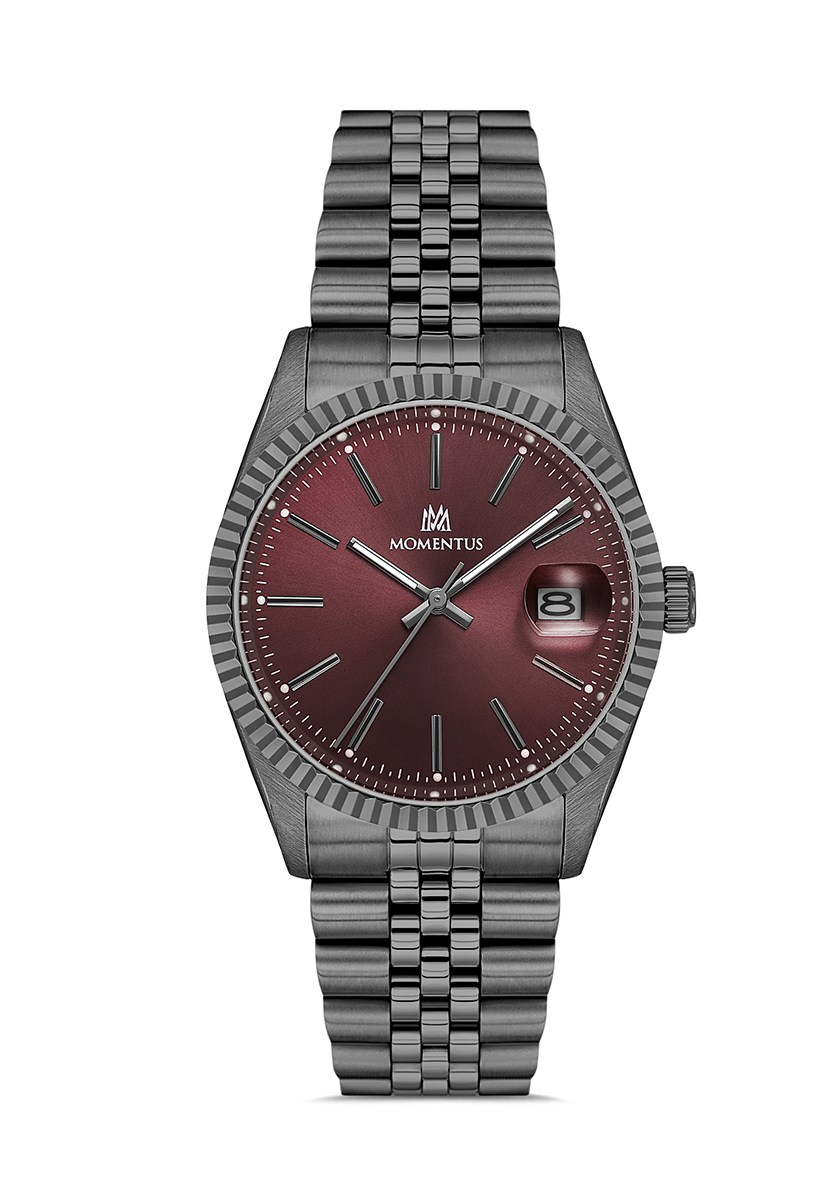 MOMENTUS CR251N-14SN ERKEK KOL SAATİ