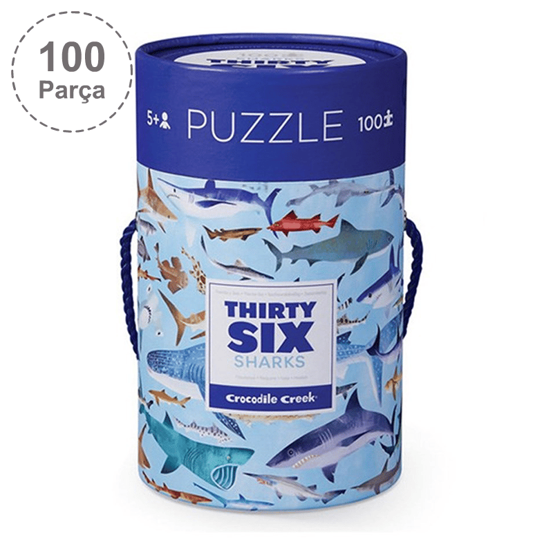 Crocodile Creek Puzzle - 100 Parça - Köpek Balıkları