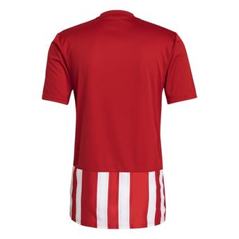 ADİDAS STRİPED 21 JSY ERKEK MAÇ FORMASI GN7624