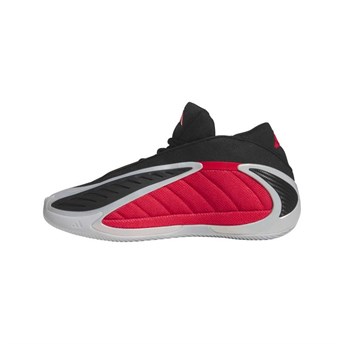 Adidas ANTHONY EDWARDS 2 Erkek Basketbol Ayakkabısı JQ9497