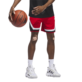 Adidas Pro Block Short Basketbol Şortu IY2122