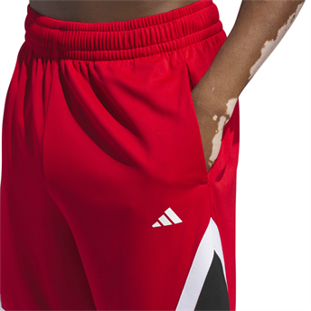 Adidas Pro Block Short Basketbol Şortu IY2122