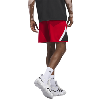 Adidas Pro Block Short Basketbol Şortu IY2122