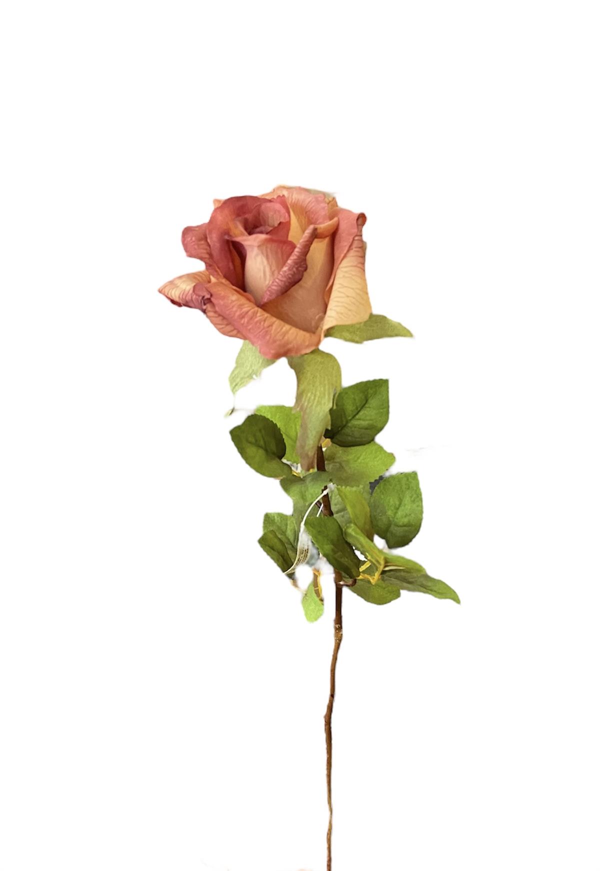 Kuk Çiçek Equador Rose Mauve 71 cm