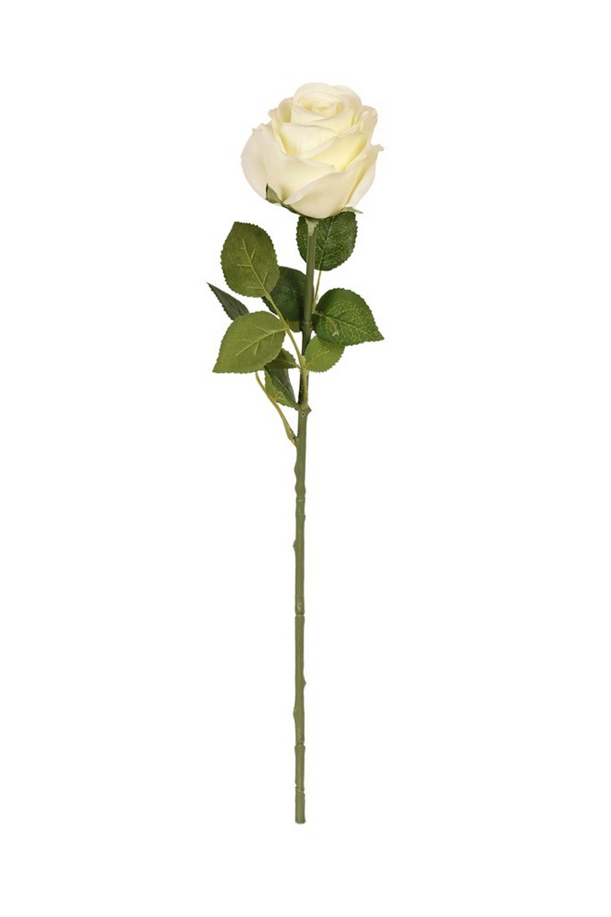 Kuk Çiçek Gül Dal (Cream)